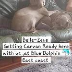 8 Berth Caravan At Blue Dolphin East Coast Apartment Gristhorpe