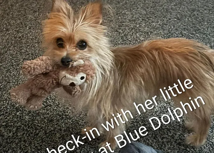 8 Berth Caravan At Blue Dolphin East Coast דירה *