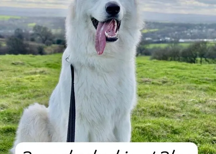 דירה 8 Berth Caravan At Blue Dolphin East Coast Gristhorpe