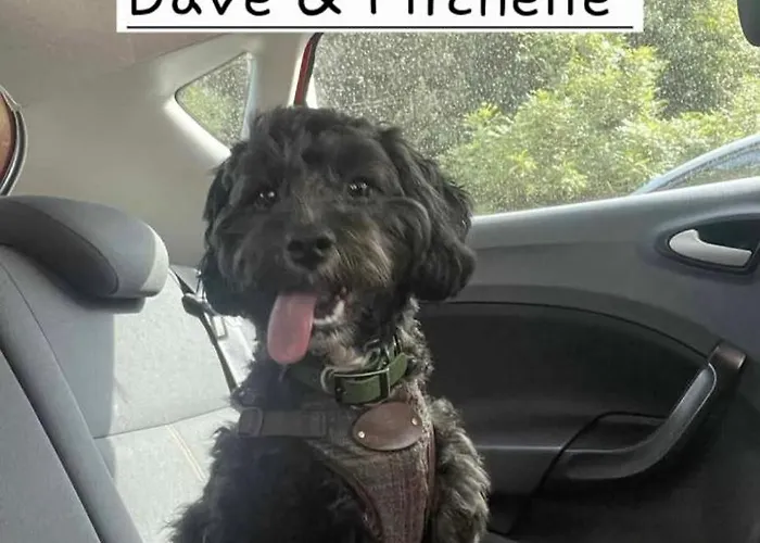 8 Berth Caravan At Blue Dolphin East Coast דירה